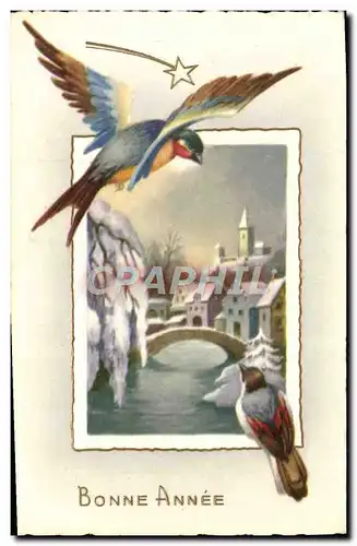 Cartes postales Fantaisie Bonne Annee Oiseaux