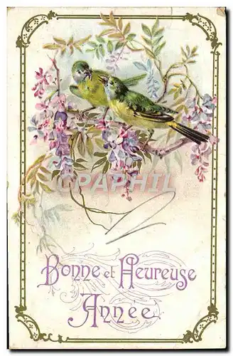 Cartes postales Fantaisie Oiseaux