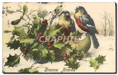 Cartes postales Fantaisie Oiseaux Sabot Houx