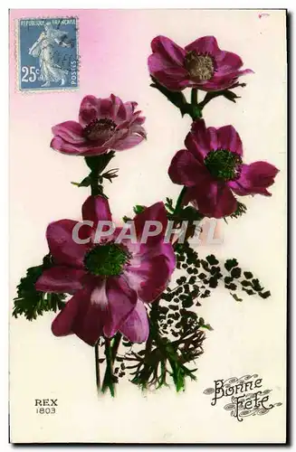 Cartes postales Fantaisie Fleurs