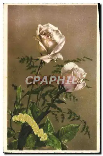 Cartes postales Fantaisie Fleurs