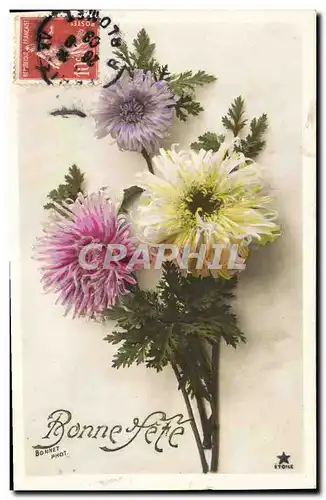 Cartes postales Fantaisie Fleurs