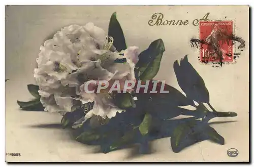 Cartes postales Fantaisie Fleurs