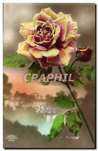 Cartes postales Fantaisie Fleur Rose