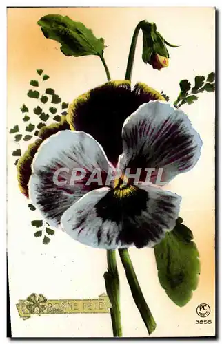 Cartes postales Fantaisie Fleurs