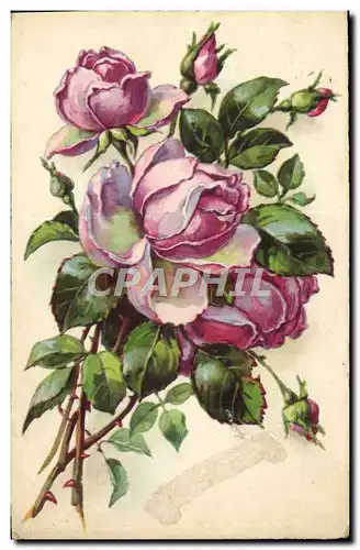 Cartes postales Fantaisie Fleurs