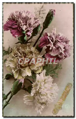 Cartes postales Fantaisie Fleurs