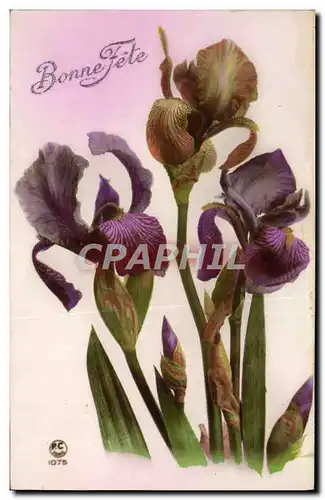 Cartes postales Fantaisie Fleurs