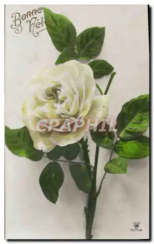 Cartes postales Fantaisie Fleurs Roses