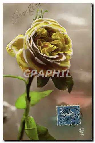 Cartes postales Fantaisie Fleurs