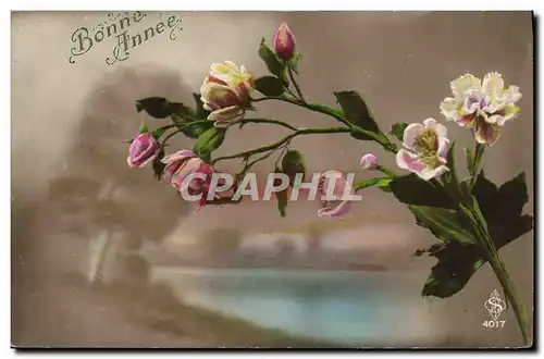 Cartes postales Fantaisie Fleurs