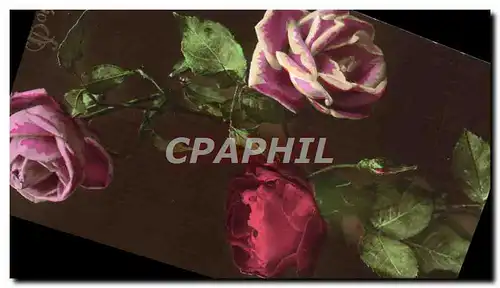 Cartes postales Fantaisie Fleurs