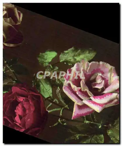 Cartes postales Fantaisie Fleurs