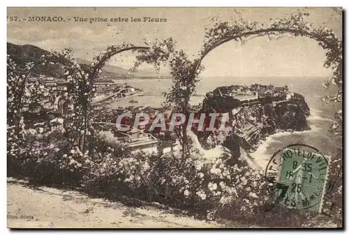 Cartes postales Monaco Vue prise entre les Fleurs