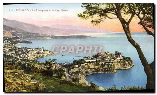 Cartes postales Monaco La Principaute et le Cap Martin