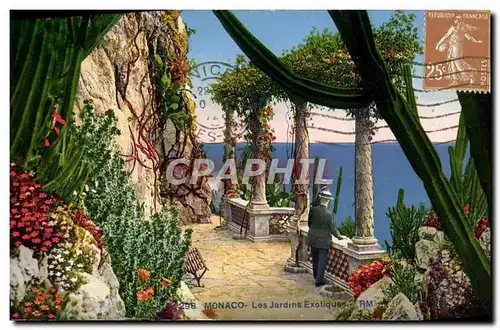 Cartes postales Monaco Les Jardins Exotiques