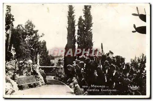 Cartes postales Monaco Jardins Exotiques