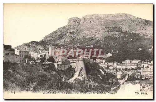 Cartes postales Monaco Le Palais du Prince et la Tete d eChien