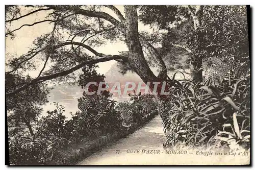 Cartes postales Montre Carlo Echappee vers le Cap d'Ail