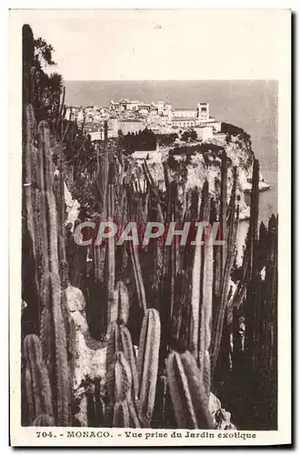 Cartes postales Monaco Vue prise du jardin exotique Cactus