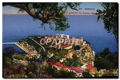 Cartes postales Monaco Vue generale du rocher