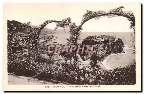 Cartes postales Monaco Vue prise entre les fleurs