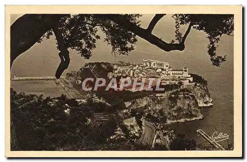 Cartes postales Monaco Le rocher entre les arbres