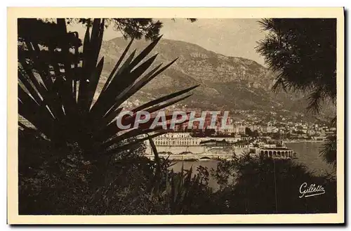 Ansichtskarte AK Monte Carlo Entre les Arbres