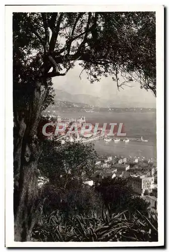 Cartes postales Monte Carlo Vue du jardin exotique