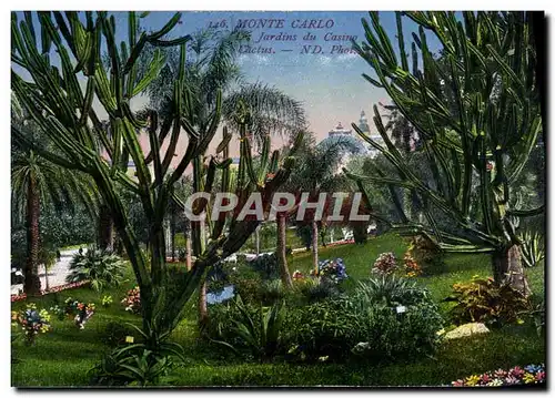 Cartes postales Monte Carlo Jardins du Casino Cactus