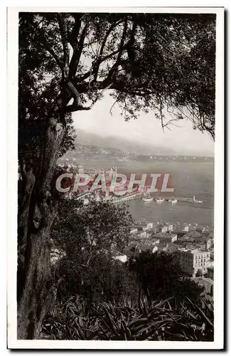 Cartes postales Monte Carlo Vu du jardin exotique