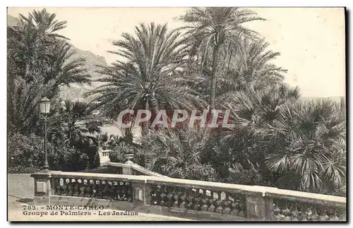 Cartes postales Monte Carlo Groupe De Palmiers Les jardins