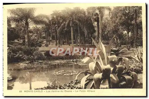 Cartes postales Monte Carlo Les Jardins du Casino La Petite Afrique