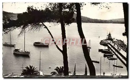 Cartes postales moderne Sanary Sur Mer La Jetee