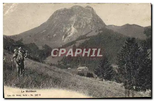 Cartes postales Le Moleson