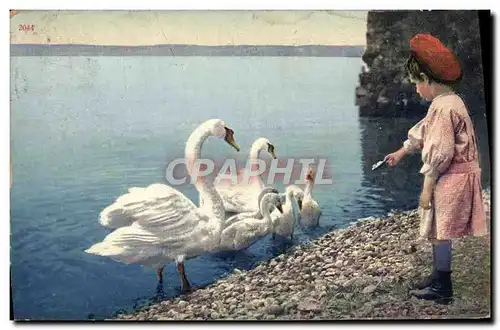 Cartes postales Suisse Enfant Cygnes