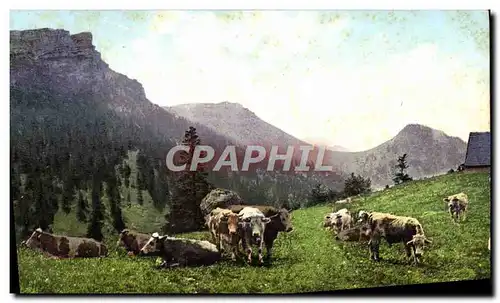 Cartes postales Vaches Suisse