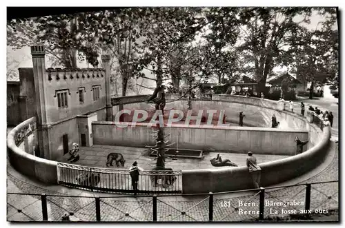 Cartes postales moderne Bern Barengraben Berne La Fosse Aux Ours