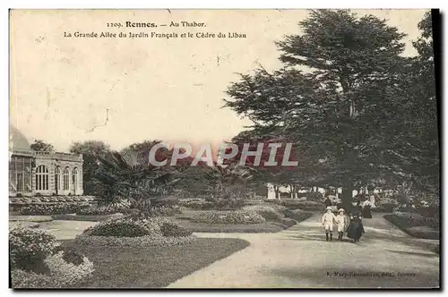 Ansichtskarte AK Rennes Au Thabor La Grande Allee Du Jardin Francais Et Le Cedre Du Liban