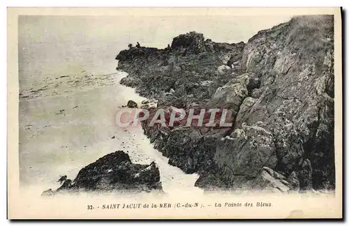 Cartes postales Saint Jacut de la Mer La Pointe des Bleus