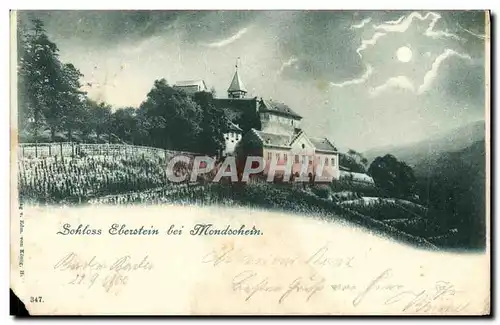 Cartes postales Schloss Elberstein bei Mondschein