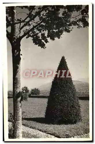 CARTE PHOTO Jardin