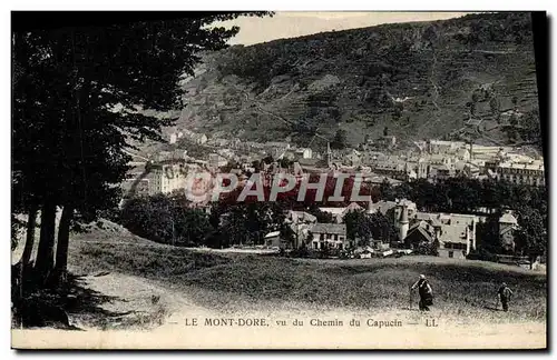 Cartes postales Mont Dore Vu du Chemin du Capucin