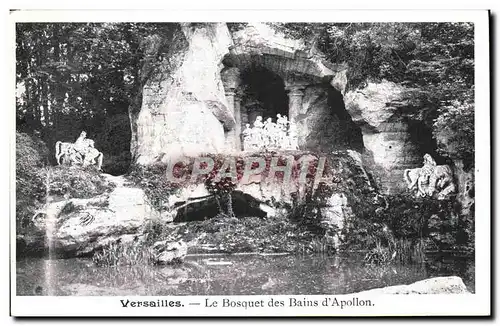 Cartes postales Versailles Le Bosquet Des Bains D&#39Apollon