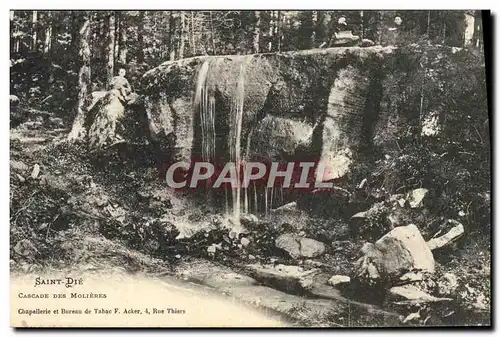 Cartes postales Saint Die Cascade Des Molieres