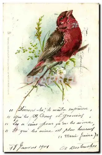 Cartes postales Fantaisie Oiseau Rouge Gorge