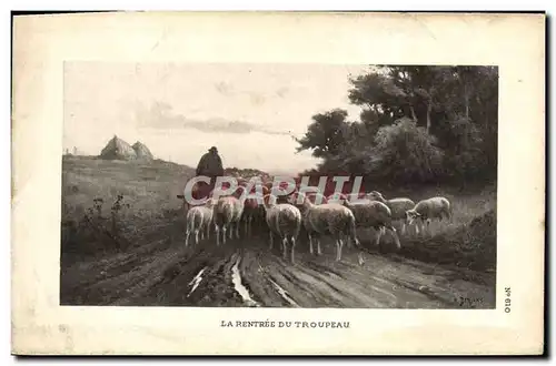 Cartes postales La Rentree Du Troupeau