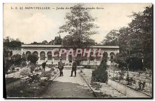 Cartes postales Montpellir Jardin des plantes Les grandes serres