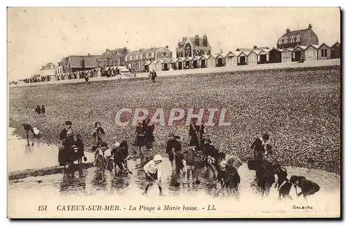 Cartes postales Cayeux Sur Mer La Plage a Maree Enfants