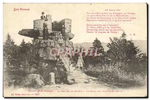 Cartes postales Saint Die La chaire du diable Le sapin sec